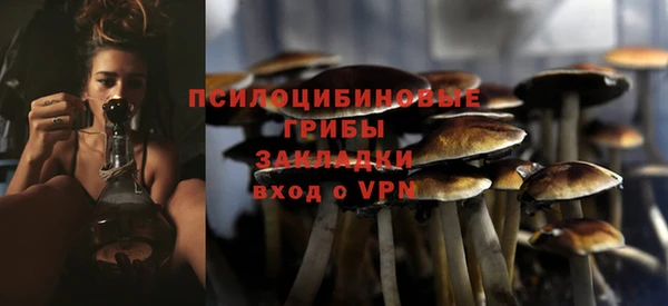 mdpv Михайловск