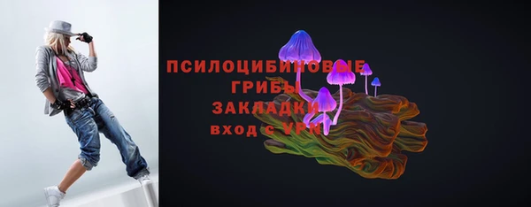 соль ск Михайлов