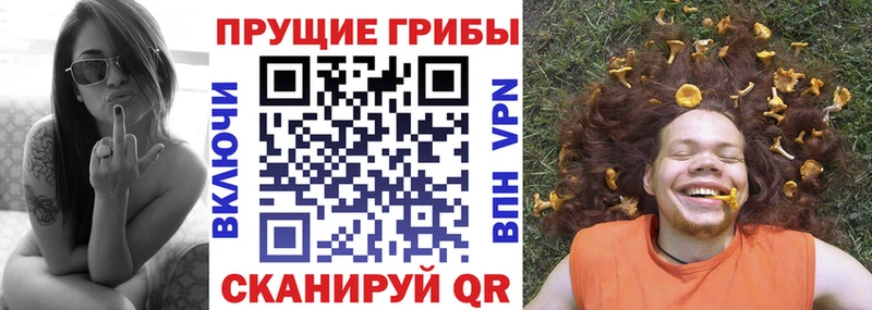 Купить  Дрезна  Галлюциногенные грибы Magic Shrooms 